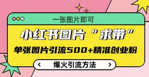 小红书图片‘求带’爆火引流法，单张图片引流500+精准创业粉-轻创联盟