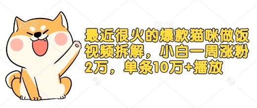 最近很火的爆款猫咪做饭视频拆解，小白一周涨粉2万，单条10万+播放(附保姆级教程)-轻创联盟