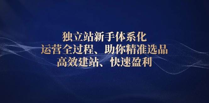 独立站新手体系化 运营全过程，助你精准选品、高效建站、快速盈利-轻创联盟