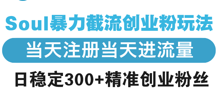 Soul暴力截流创业粉玩法，当天注册当天进流量，日稳定300+精准创业粉丝-轻创联盟