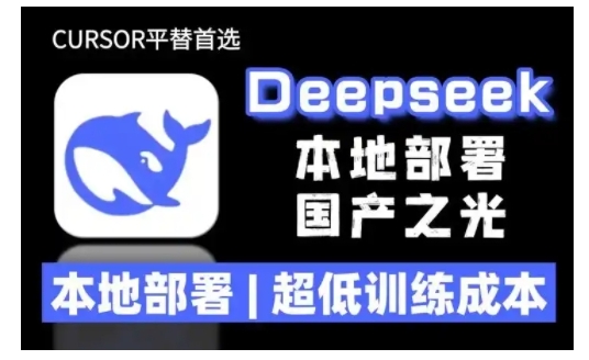 2025年deepseek R1 大型模型本地安装部署(文件+教程)本地部署，超低训练成本-轻创联盟