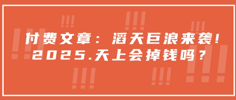 付费文章：滔天巨浪来袭！2025天上会掉钱吗？-轻创联盟