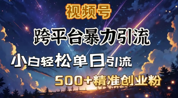跨平台暴力引流，私域完美闭环，日引500+精准创业粉-轻创联盟
