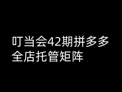 叮当会拼多多打爆班原创高阶技术第42期，拼多多全店托管矩阵-轻创联盟