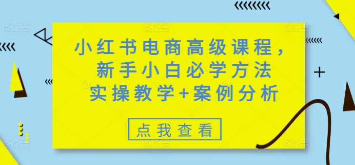 小红书电商高级课程，新手小白必学方法，实操教学+案例分析-轻创联盟