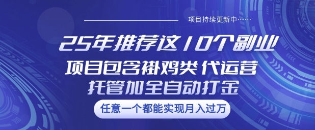 25年推荐这10个副业项目包含褂鸡类、代运营托管类、全自动打金类-轻创联盟