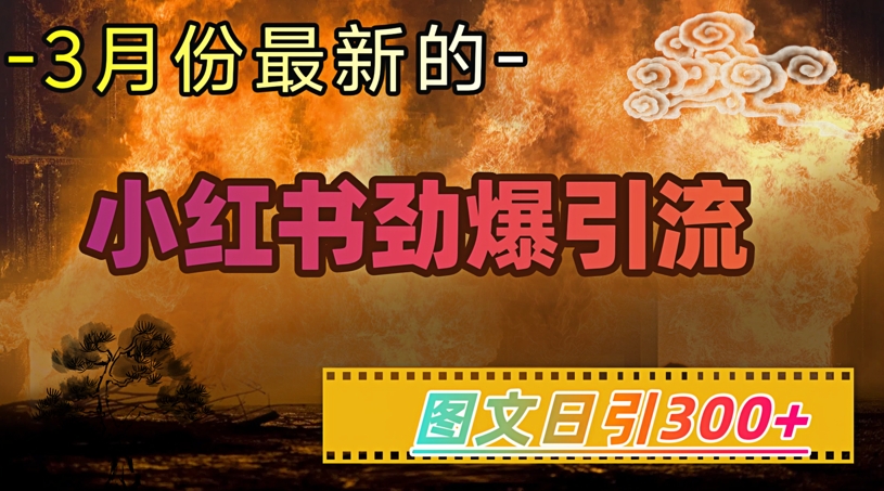 小红书超劲爆引流手段，图文日引300+轻松变现1W-轻创联盟