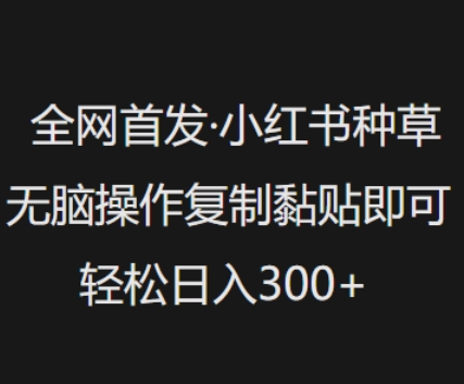 全网首发，小红书种草无脑操作，复制黏贴即可，轻松日入3张-轻创联盟