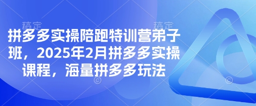拼多多实操陪跑特训营弟子班，2025年2月拼多多实操课程，海量拼多多玩法-轻创联盟