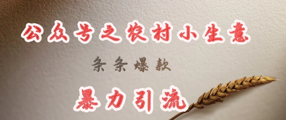 deepseek写农村小项目，条条爆款，暴力引流-轻创联盟