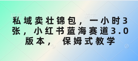 私域卖壮锦包，一小时3张，小红书蓝海赛道3.0版本， 保姆式教学-轻创联盟