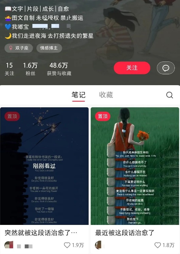 小红书治愈文案图文笔记，零门槛，一分钟制作轻松制作爆款作品月入万元-轻创联盟