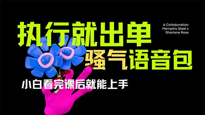 爆火全网的开车导航骚气语音包,只要执行就出单，小白看完课程就能实操…-轻创联盟