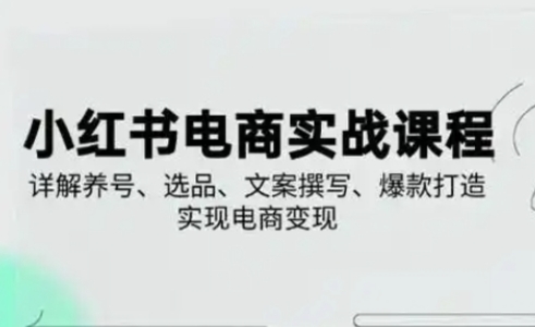 小红书从0-1实操课(2023-2025)，详解养号、选品、文案撰写、爆款打造实现电商变现-轻创联盟
