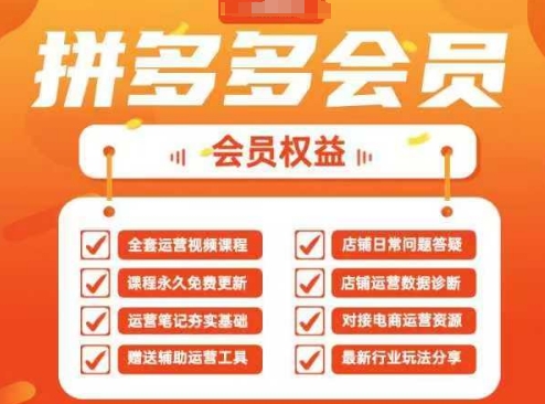 2025拼多多运营实战课，40节全流程教学，覆盖拼多多运营全链路-轻创联盟