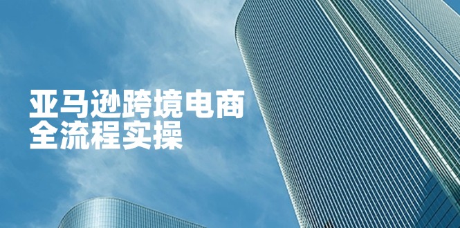 亚马逊跨境电商全流程实操，教你从零开始，掌握店铺运营与广告技巧-轻创联盟