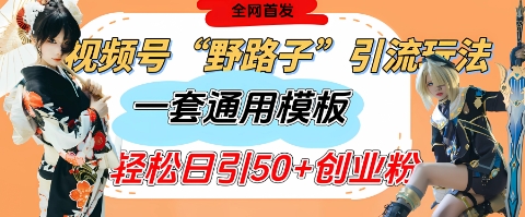 视频号“野路子”玩法，评论区疯狂截流，一套模板单日单号引流50+创业粉-轻创联盟