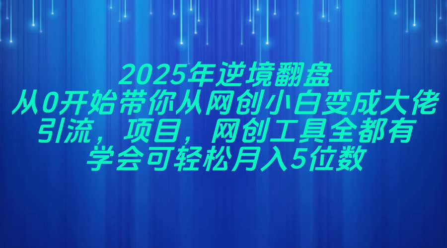 2025年逆境翻盘，从0开始带你从网创小白变成大佬，引流，项目，网创工…-轻创联盟