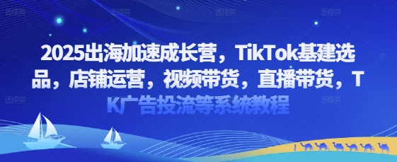 2025出海加速成长营，TikTok基建选品，店铺运营，视频带货，直播带货，TK广告投流等系统教程-轻创联盟