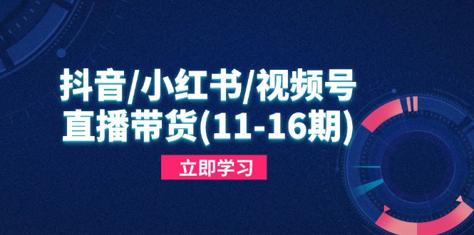 抖音/小红书/视频号/直播带货（11-16期），快速掌握平台规则，打造爆款内容-轻创联盟