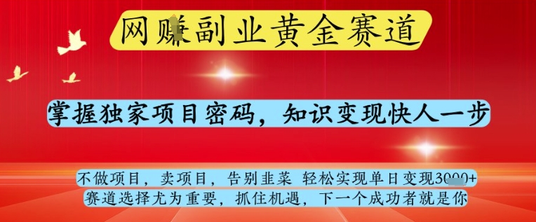 网创副业黄全赛道，掌握独家项目密码，知识变现快人一步，告别韭菜轻松实现单日变现1k+-轻创联盟