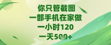 你只管截图，一部手机在家做，苹果安卓都可以，一天5张+-轻创联盟