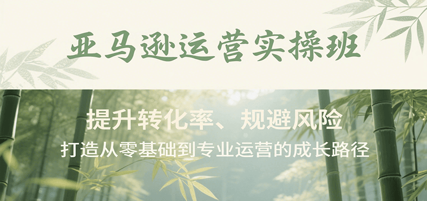 亚马逊运营实操班，提升转化率、规避风险，打造从零基础到专业运营的成长路径-轻创联盟