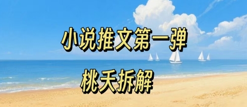小说推文项目操作全流程第一弹，0粉就能做，门槛低非常适合新手-轻创联盟