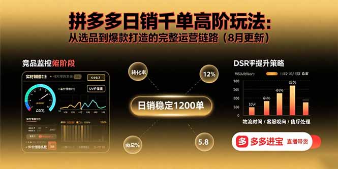 拼多多日销千单高阶玩法：从选品到爆款打造的完整运营链路（8月更新）-轻创联盟