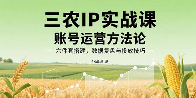 三农IP实战课：账号运营方法论，六件套搭建，数据复盘与投放技巧-轻创联盟