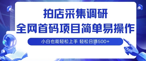 拍店采集调研，全网首码项目，简单易操作， 小白也能轻松上手，多账号操作，轻松日入5张-轻创联盟