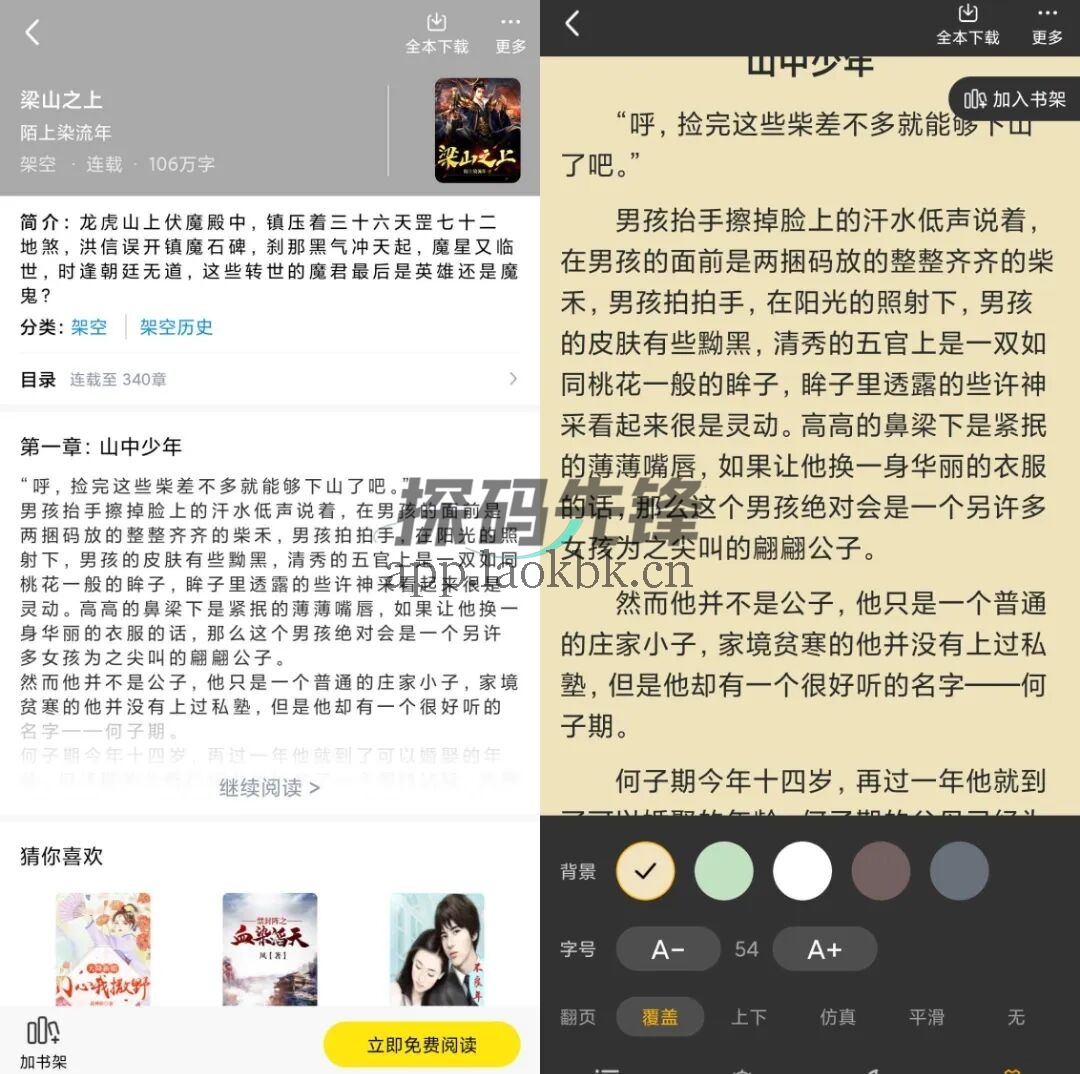 飞猫免费小说,开放全功能版,长久看小说可用!-探码先锋资源站 飞猫免费小说,开放全功能版,长久看小说可用!-探码先锋资源站