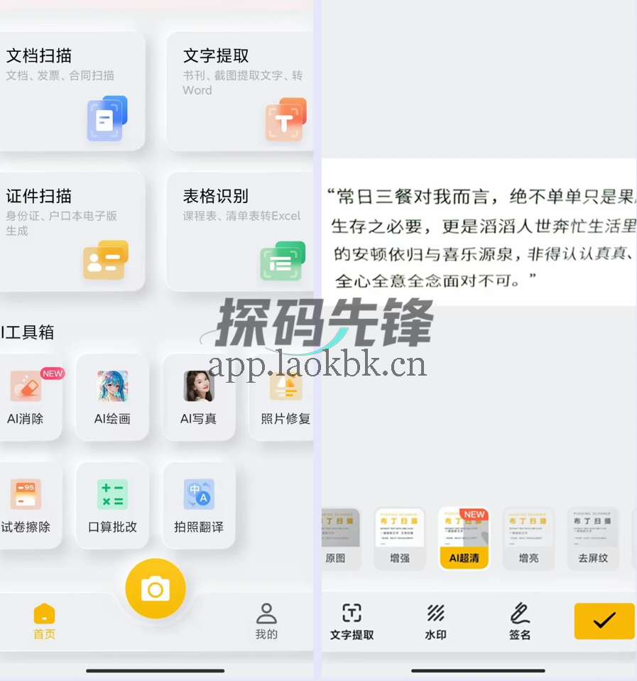 图片[1]-布丁扫描，此领域最强，功能随便用，最后一个版本-探码先锋资源站