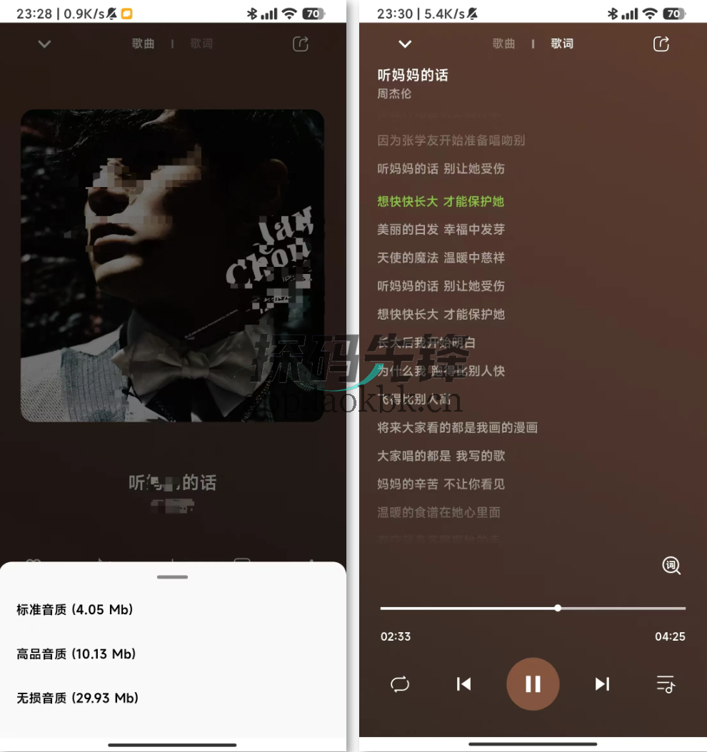 柠檬音乐，全新1.0版，秒杀VIP-探码先锋资源站